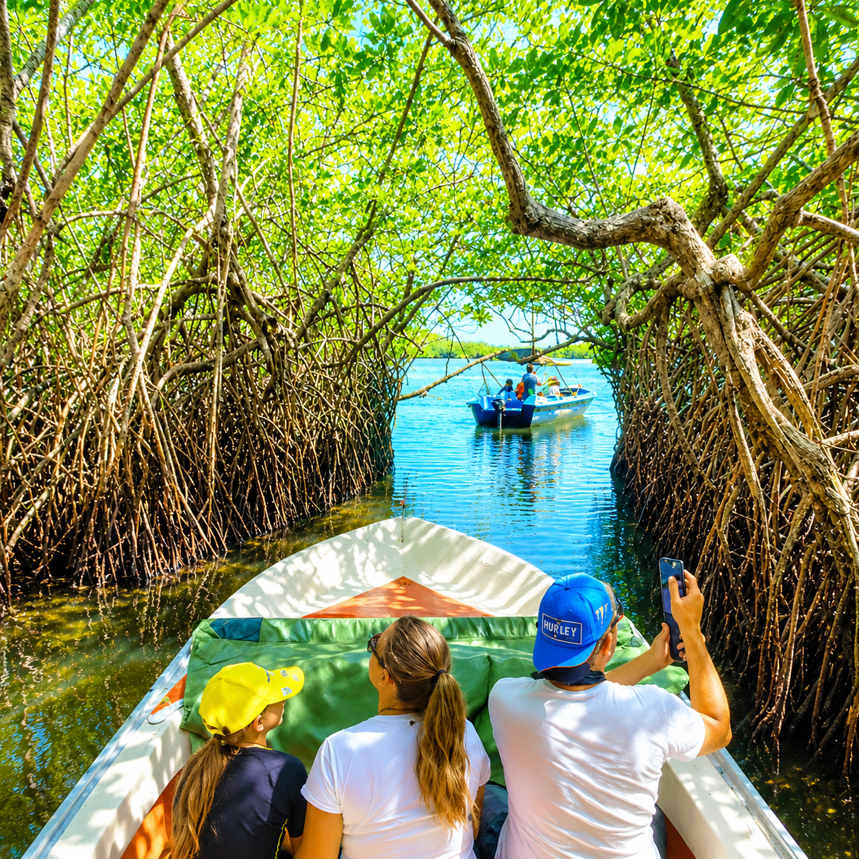 Madu River Safari, Galle Fort & Turtles – Private Day Tour